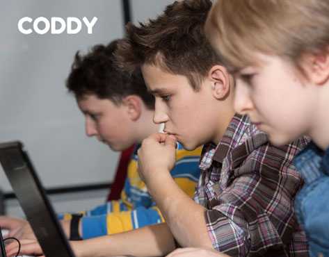 Coddy франшиза отзывы бизнес флеш игры бесплатно онлайн